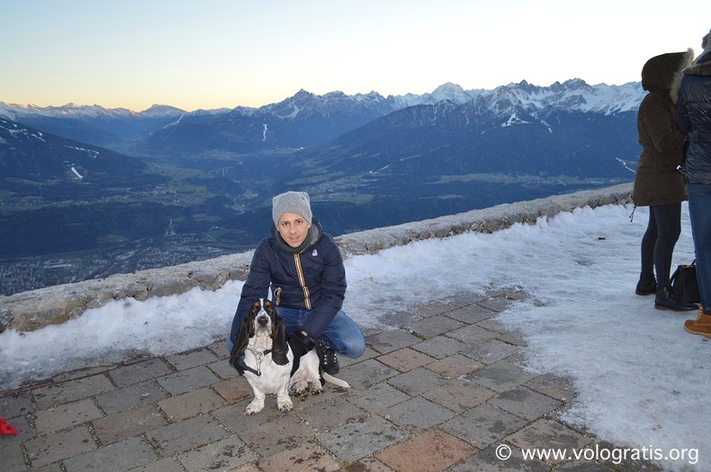 bassethound gastone hafelekar