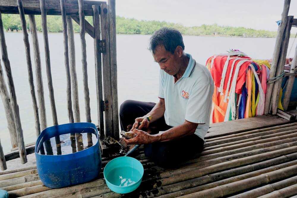 ostriche thailandia