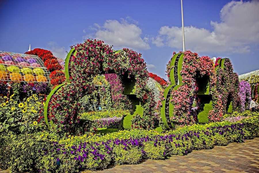 cosa vedere a dubai 2