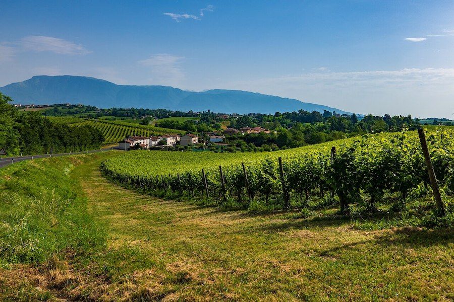 colle prosecco sito UNESCO italia