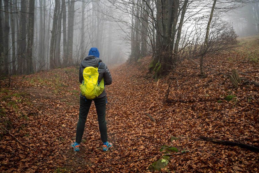 foreste casentinesi cammino di dante
