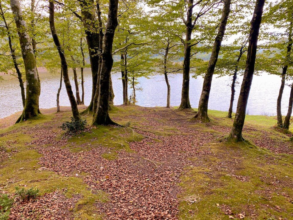 lago dello zomaro aspromonte